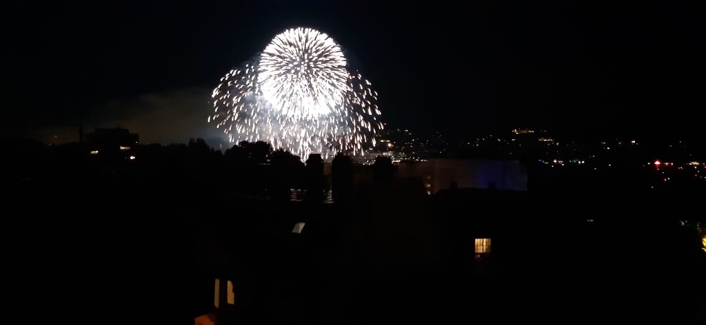 Feuerwerk am Zueri-Fest 2023 - vom Renggergut aus fotografiert.